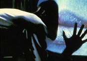 Videodrome (1982)